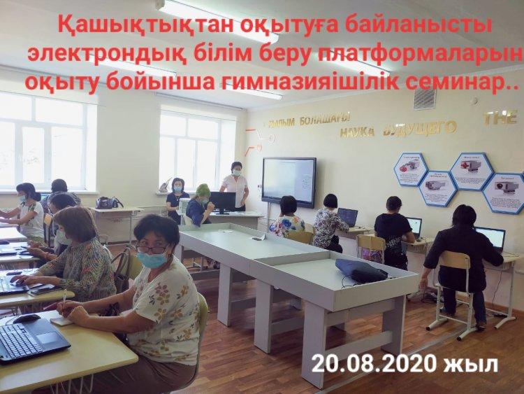 Қашықтан оқытуды ұйымдастыру мақсатында өткен семинар