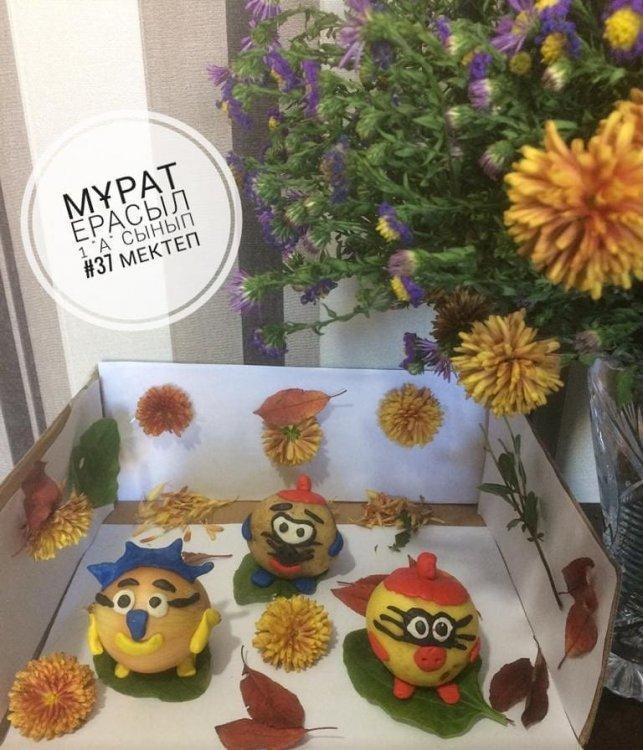 Мұрат Ерасыл 1 "А" сынып оқушысы