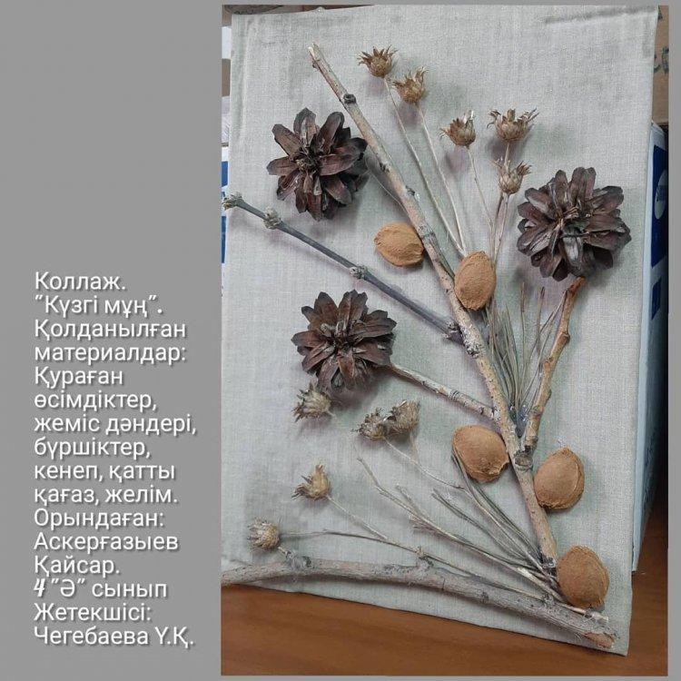 Аскерғазыев Қайсар 4 "Ә" сынып оқушысы