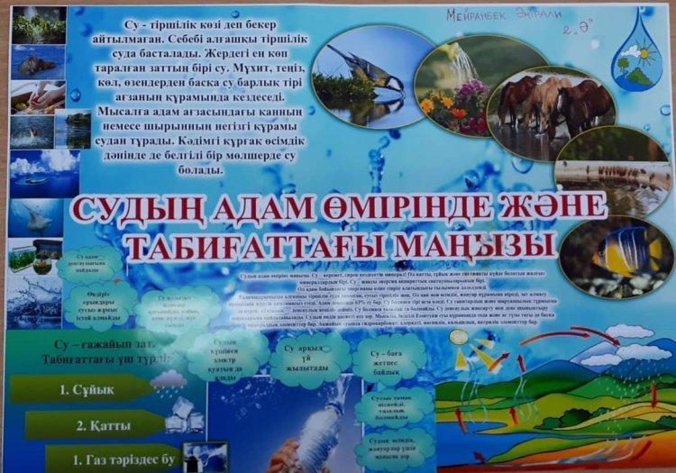 Мейрамбек Әмірали 2 "Ә" сынып оқушысы