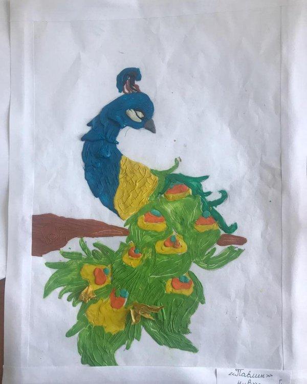 "Павлин" Орындаған: 4"В" сынып оқушысы Дәренқызы Алима