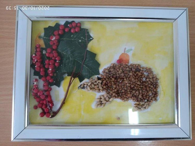 Хамитов Әкежан 4 "Б" сынып оқушысы