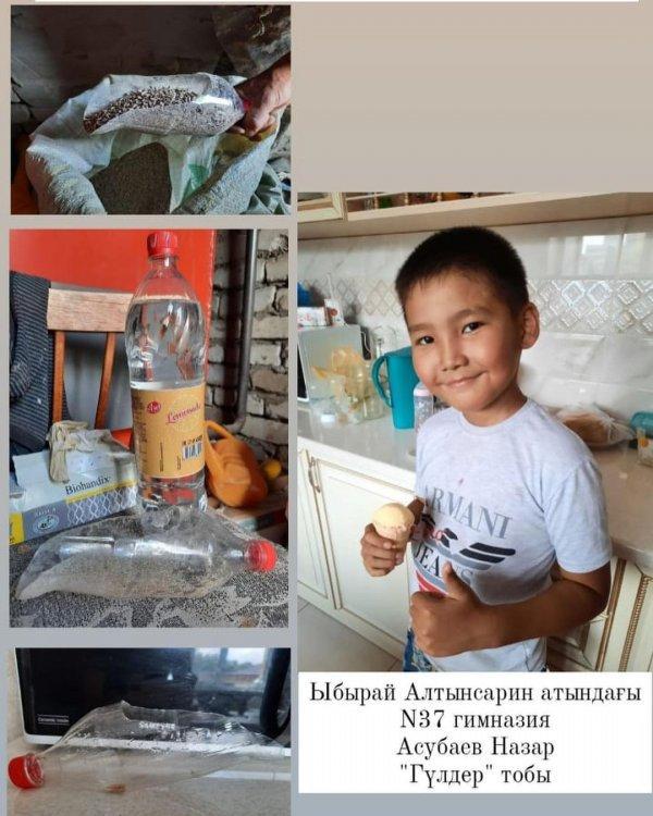 Гимназияішілік "Балауса" жазғы онлайн лагері. "Гүлдер" тобы. "Шебер қолдар"