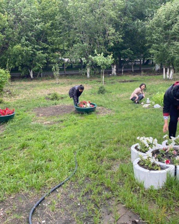 "Менің-жасыл әлемім!" аясында гимназия ауласында гүлдер бапталуда. "Сіз ағашқа қарап тұрып оның алыптығы мен күшіне қайран қаласыз, ал кішкентай гүлді қош иістен басқа берері жоқ деп сөге көрмеңіз".☺️☺️💐🌷🌹