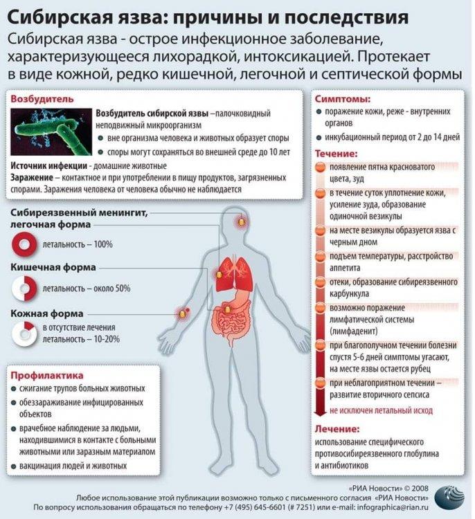 Бруцеллез — жұқпалы ауру.