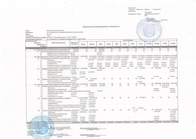 Индивидуальный план финансирования государственного учреждения по платежам