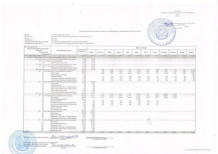 Индивидуальный план финансирования государственного учреждения по платежам