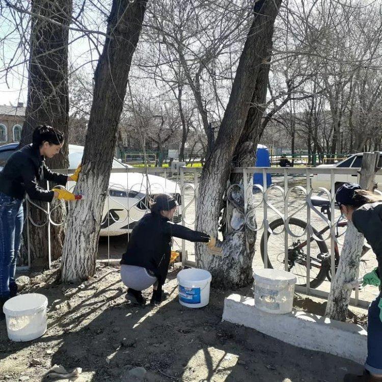Экологиялық айлық аясында талдар мен бордюрлер әктеліп, тазалық жұмыстары жүргізілді.