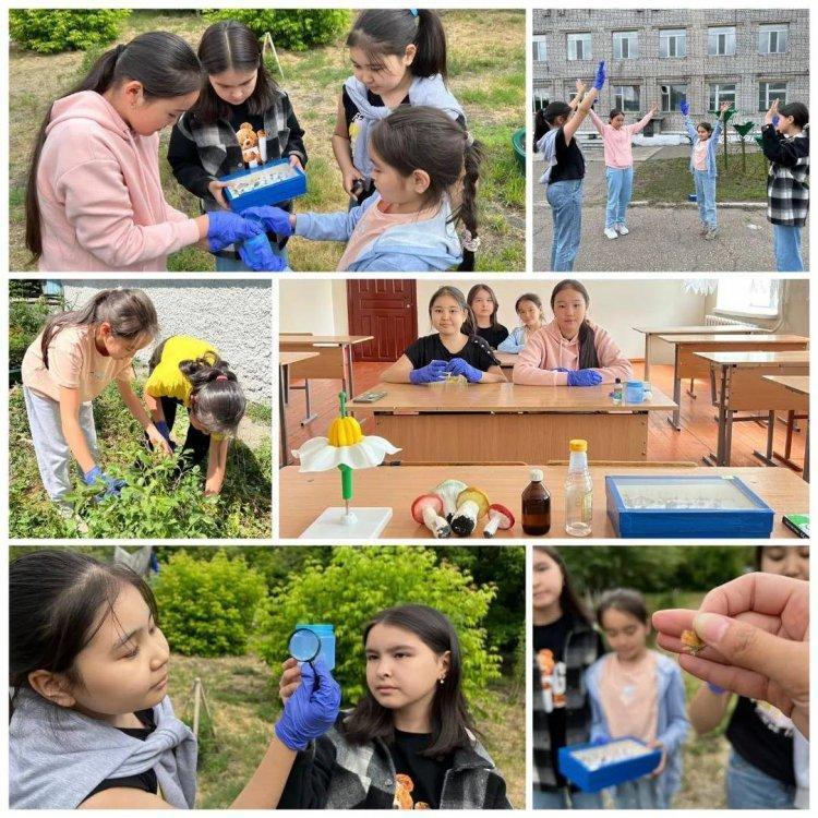 09.06.22 күні Жазғы мектепте Жаратылыстану пәнінен 6-сыныптарда «Тірі ағзалардың сан алуандығы»тақырыбында сабақ өткізілді.