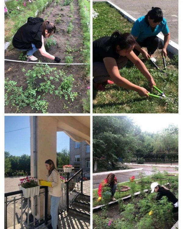 Білім ордамыздың ауласын көгалдандыру, әсемдік-эстетикалық талғамға сай рәсімдеу жұмыстарына үлес қосқан табиғат жанашырларына алғыс білдіреміз!
