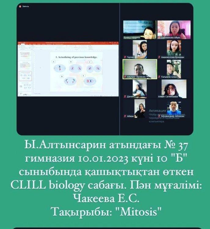 Митоз тақырыбын ашу барысында оқушылар суретпен,мәтінмен жұмыс жасай отырып сәйкестендіру жұмыстарын орындау арқылы сабақ мақсатына жете білді