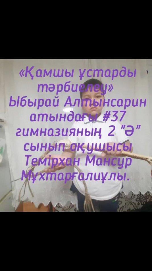 “Ыбырай Алтынсарин атындағы 37 гимназиясы” КММ 2 “Ә” сынып оқушысы Темірхан Мансурдың “Әкелер мектебі “ жобасы бойынша “Қамшы ұстарды тәрбиелеу” тақырыбында дайындаған бейнеролигі.