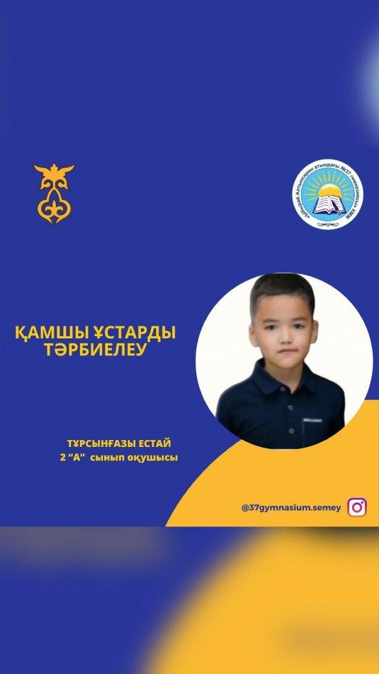 "Ыбырай Алтынсарин атындағы #37 гимназиясы" КММ-нің 2 "А"сынып оқушысы Тұрсынғазы Естай "Әкелер мектебі " жобасы аясында "Қамшы ұстарды тәрбиелеу " тақырыбына дайындаған бейнеролигі