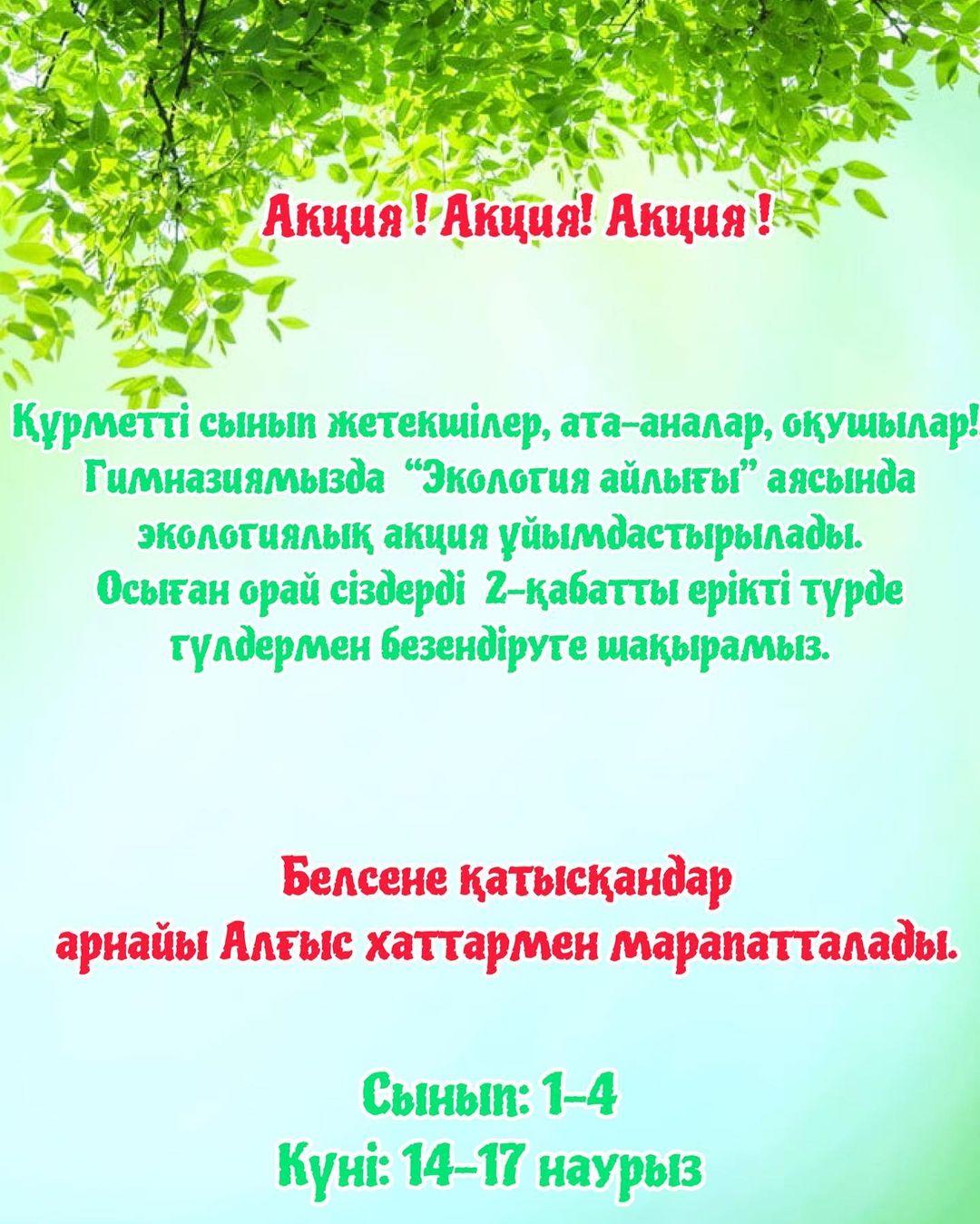 Акция!
