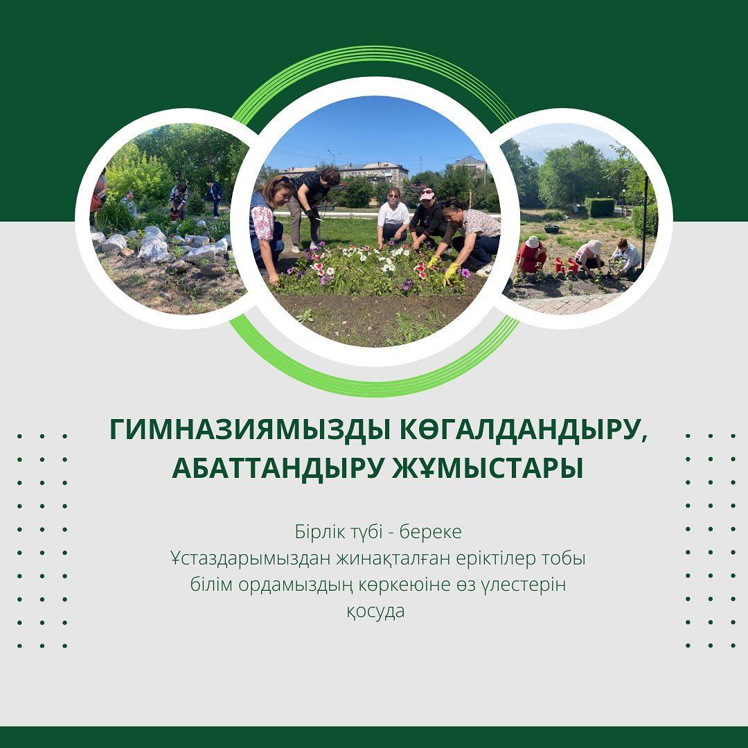 Гимназиямызды көгалдандыру, абаттандыру жұмыстары #37gymnasiumsemey