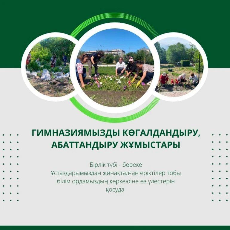 Көркейту- көгалдандыру мен абаттандыру жұмыстары Гимназия ауласын абаттандыру мен гүлдендіру дәстүрлі газон,