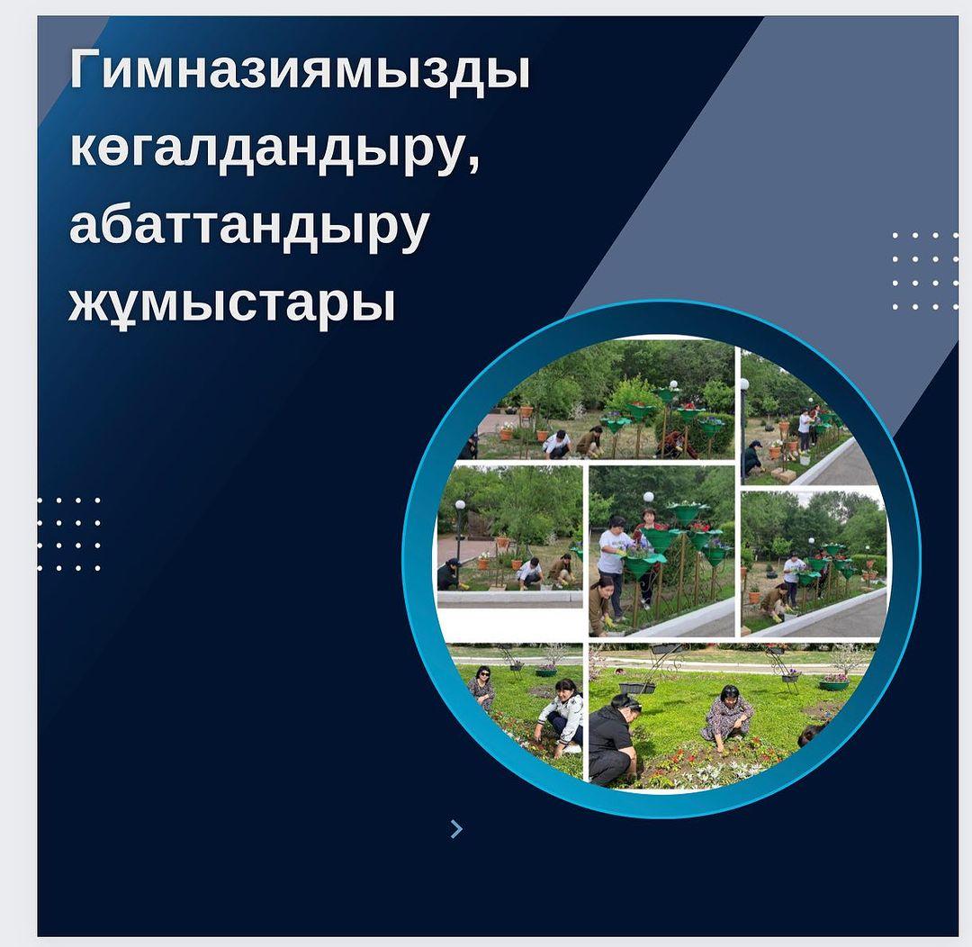 Гимназия ауласы оқу мекемесінің— көрнекті келбеті. Білім беру ордамызды көгалдандыру мақсатында, гимназиямыздың ұстаздарынан жиналған еріктілер тобы нәтижелі жұмыс атқаруда.