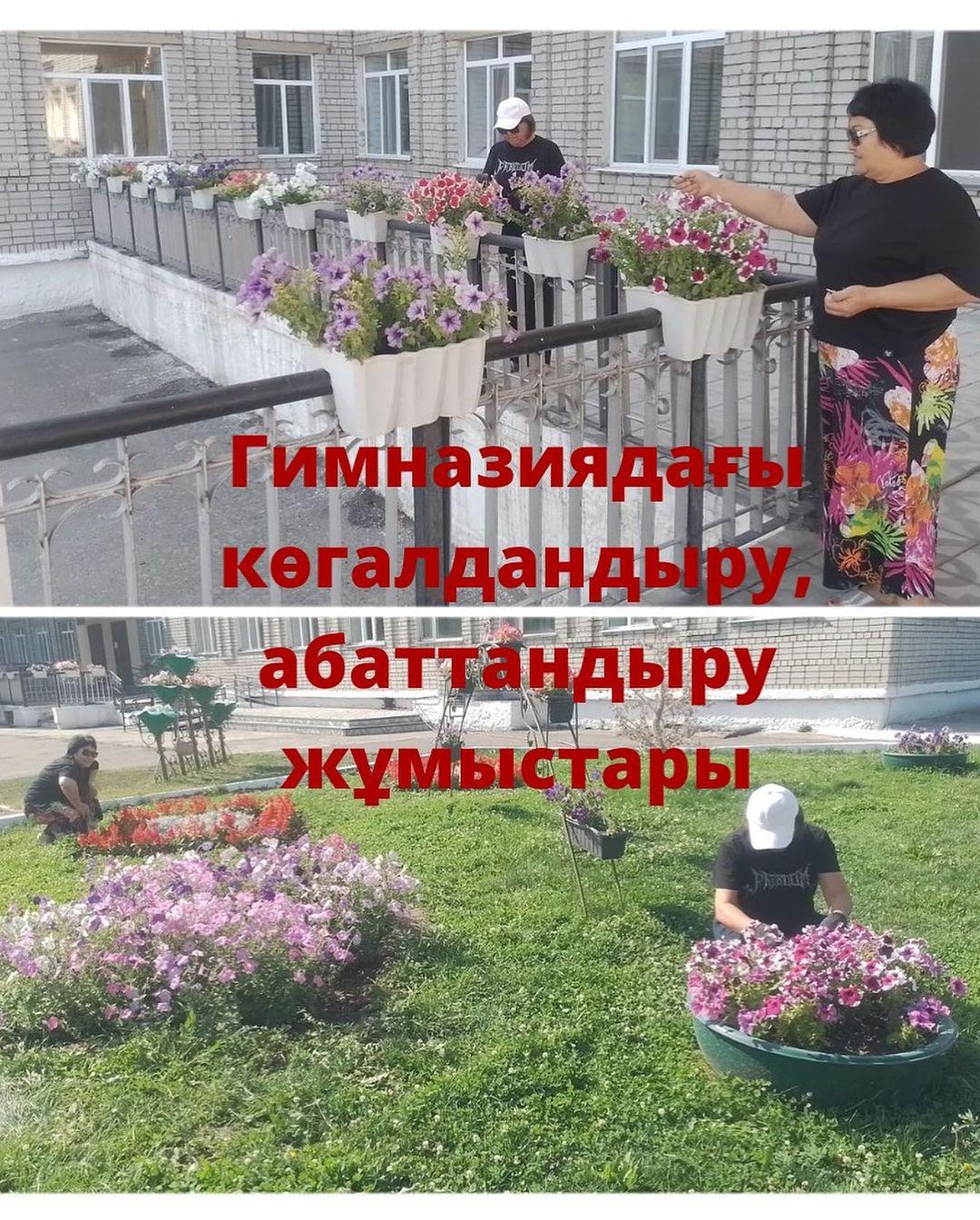 Жобаның мақсаты 03.08 - 09.08 тамыз аралығындағы гимназия жанында эстетикалық және экологиялық тартымды кеңістік құру,