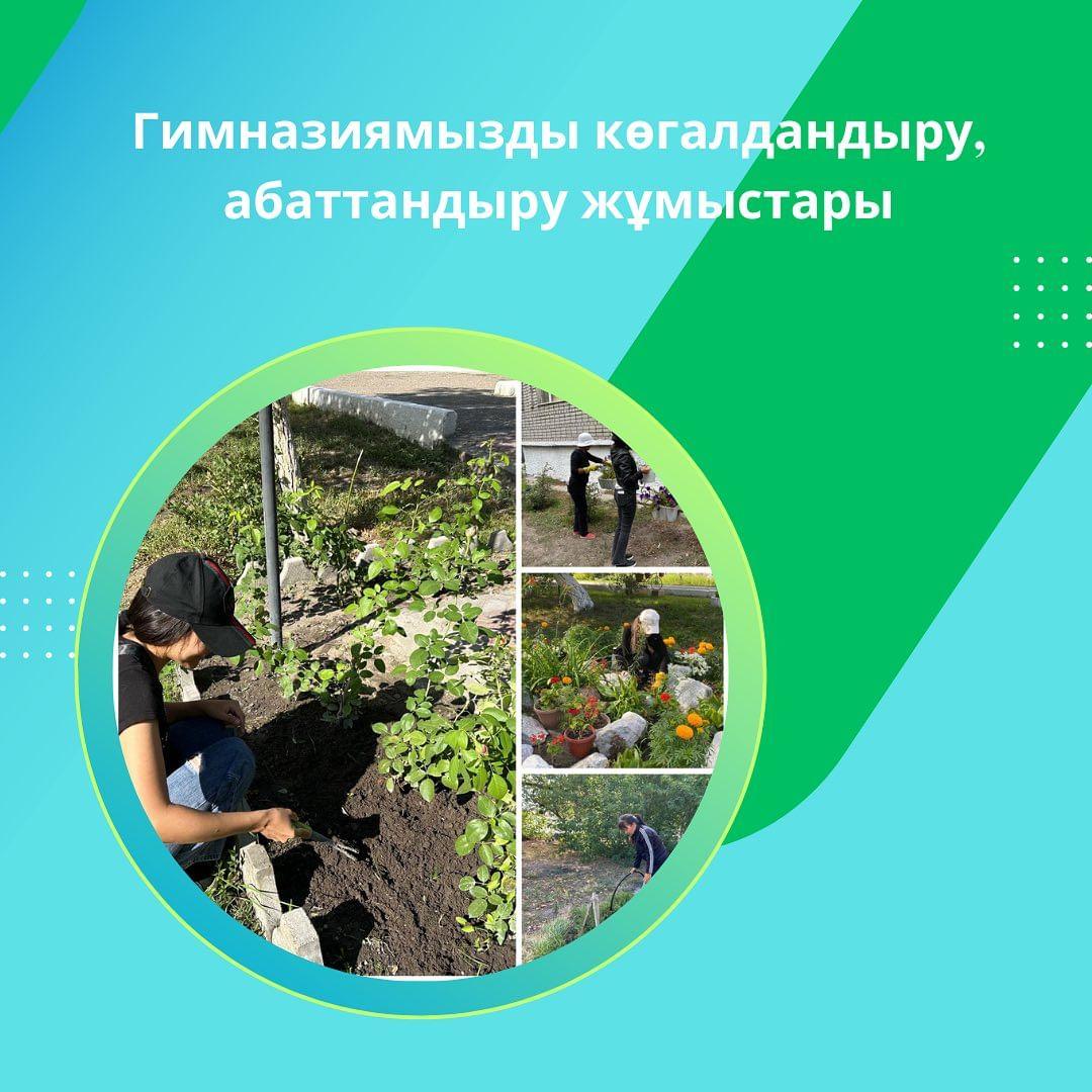 Гимназия ұстаздары мектеп ауласын гүлдендіруге өз үлестерін қосуда. Еріктілер тобы үш күн аралығында гүлдерді суарып, арамшөптерден тазартып, өсімдіктерге күтім жасады.