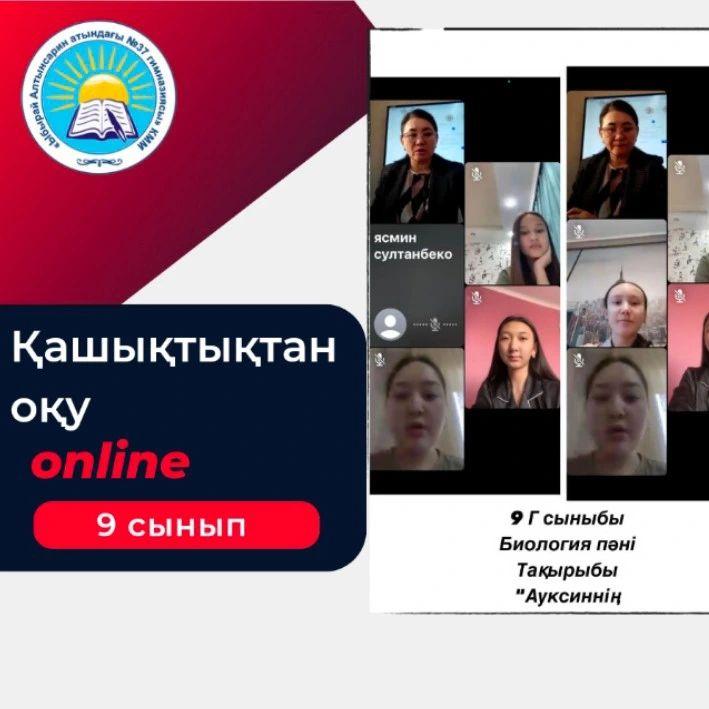 Ауксиннің өсімдіктерге әсерін зерттеу тақырыбында 9 "Ә", 9"Г" сыныптарында қашықтықтан сабақ өтті. Биология пәнінің мұғалімі Чакеева Е.С.