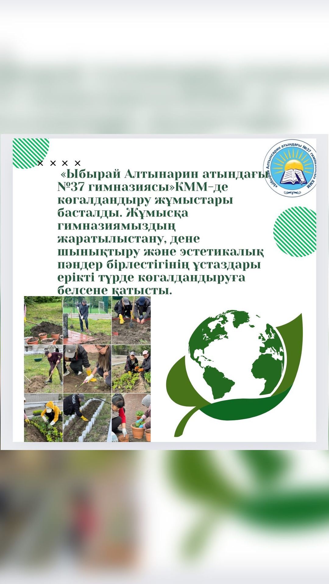 «Ыбырай Алтынарин атындағы №37 гимназиясы»КММ-де көгалдандыру жұмыстары басталды. Жұмысқа гимназиямыздың жаратылыстану, дене шынықтыру және эстетикалық пәндер бірлестігінің ұстаздары ерікті түрде көгалдандыруға белсене қатысты.