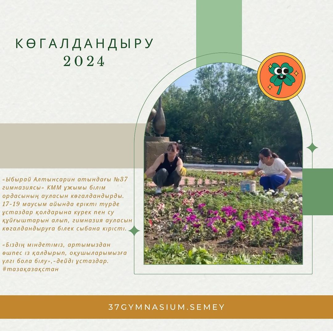 «Ыбырай Алтынсарин атындағы №37 гимназиясы» КММ ұжымы білім ордасының ауласын көгалдандырды.