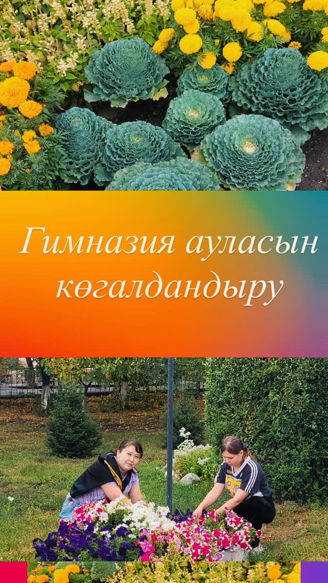 Гүл- сұлулықтың, әсемдіктің белгісі. Тіпті адам жанын емдейтін, көңіл- күйін көтеретін қасиеті де бар. 2025-2026 оқу жылының алдында сіздерге жақсы көңіл- күй сыйлаймыз!