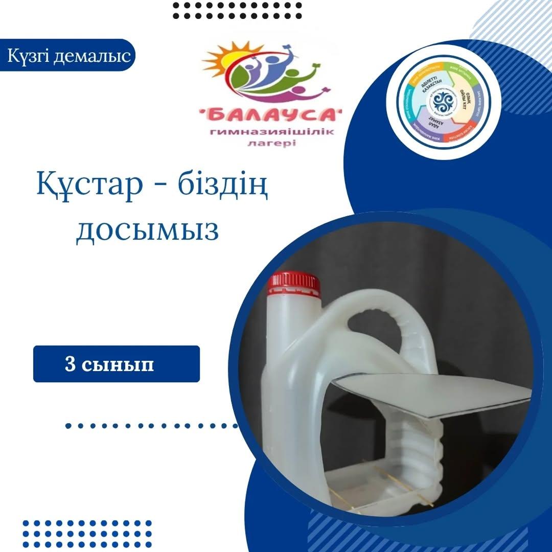 Гимназияішілік "Балауса" онлайн лагерінің жоспарына сәйкес "Адал азамат" біртұтас тәрбие бағдарламасының "Қамқор" жобасы
