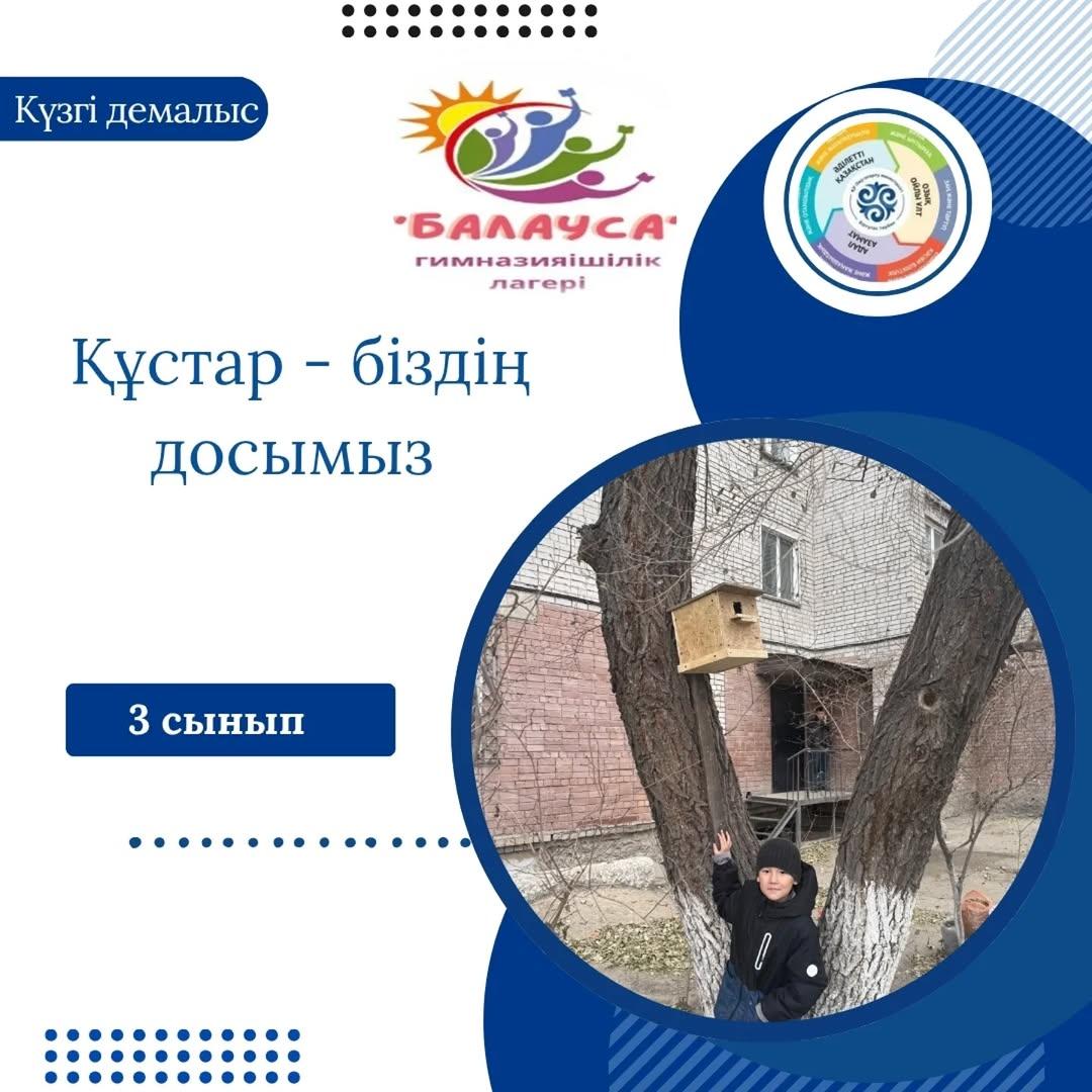 Гимназияішілік "Балауса" онлайн лагерінің жоспарына сәйкес "Адал азамат" біртұтас тәрбие бағдарламасының "Қамқор" жобасы